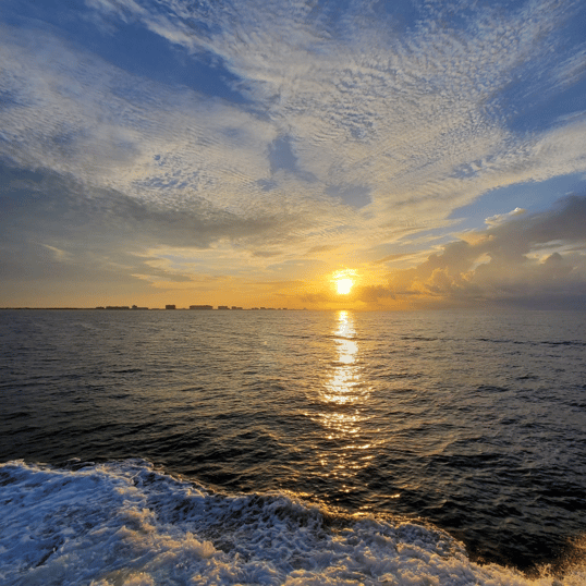 Deep Sea Fishing Orange Beach
