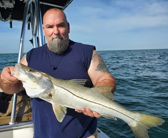 Snook Caught In St. Petersburg, FL