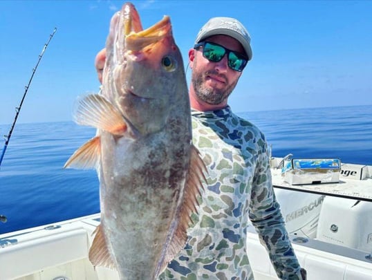 Fish Caught In St. Petersburg, FL