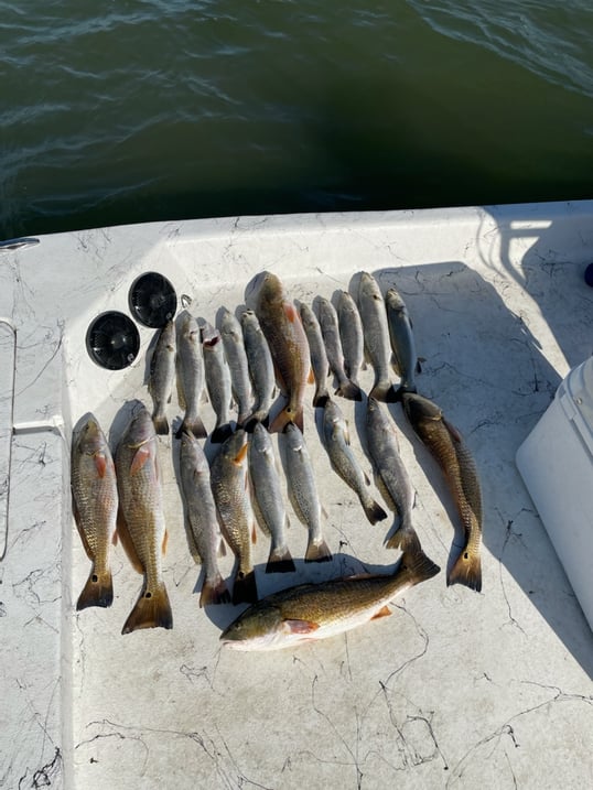 Port O'Connor Fishing Charters