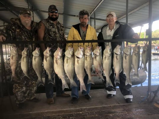 Lake whitney striper fishing