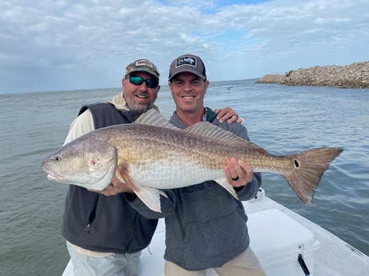 Big Gulf Redfish