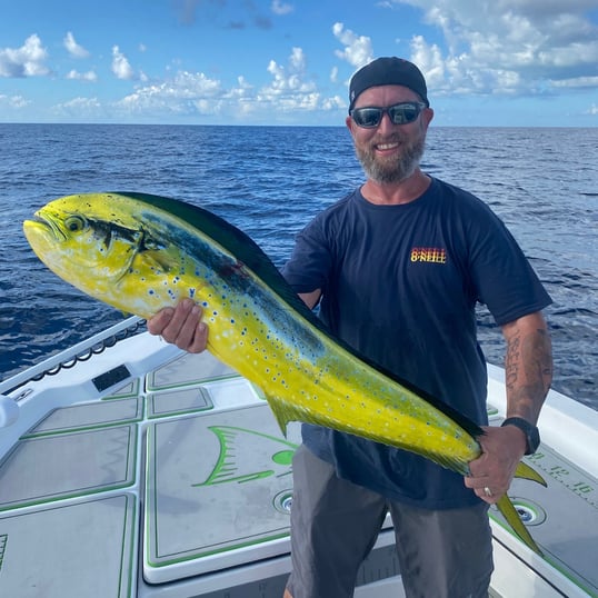 Miami Mahi Mahi