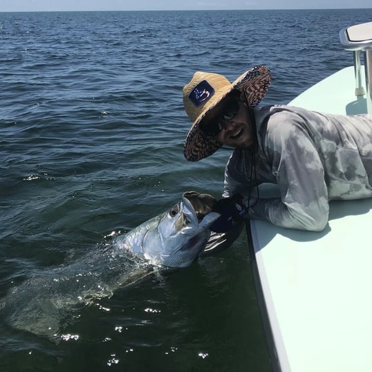 Miami Tarpon