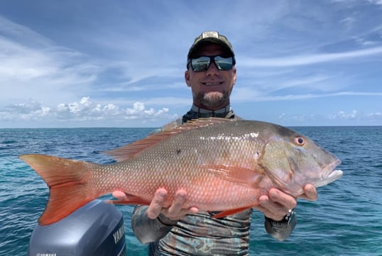 Miami Snapper