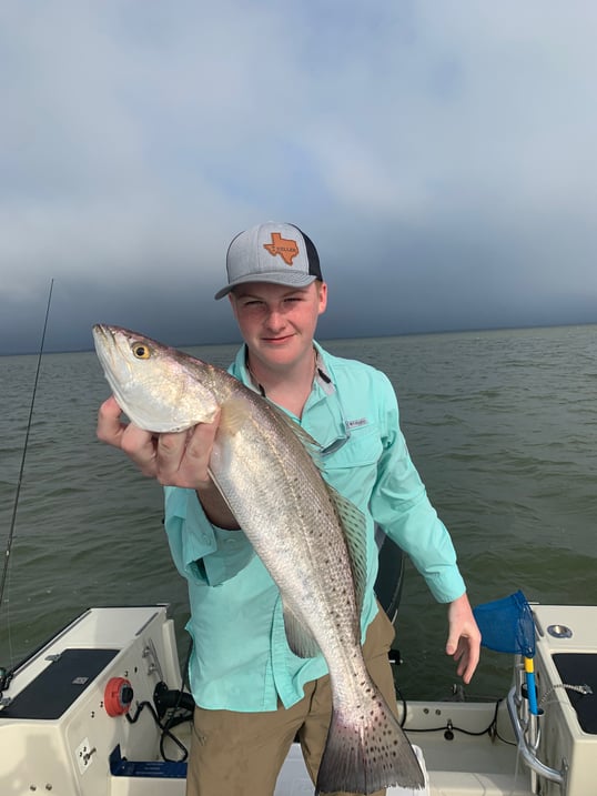 galveston speckled trout fishing guide