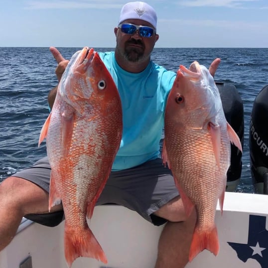 Freeport Red Snapper