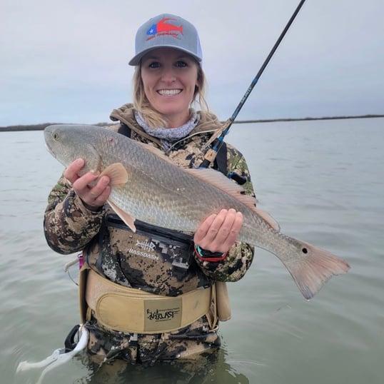 Catching Redfish While Wading