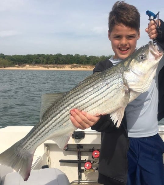 Lake Texoma Striper Fishing