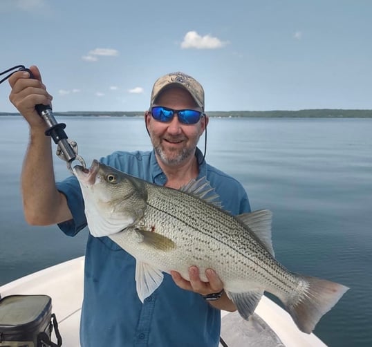 Trinity River: Lake Bridgeport Striper