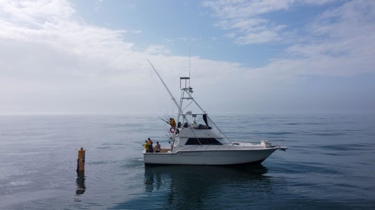 Full Fishing Charter