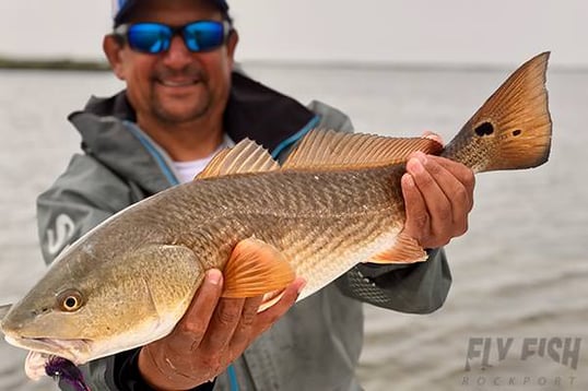 Rockport fly fishing guide