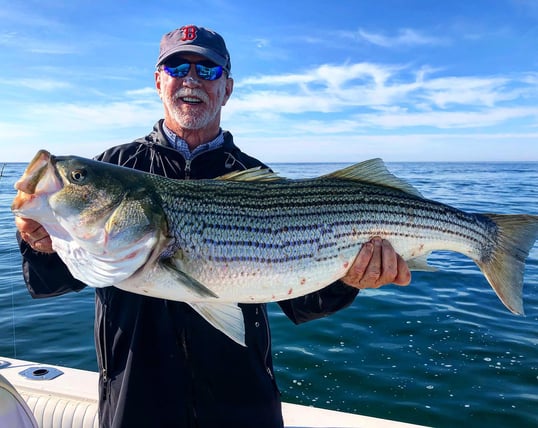 cape cod striper fishing