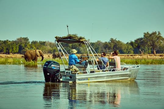 zambezi safari