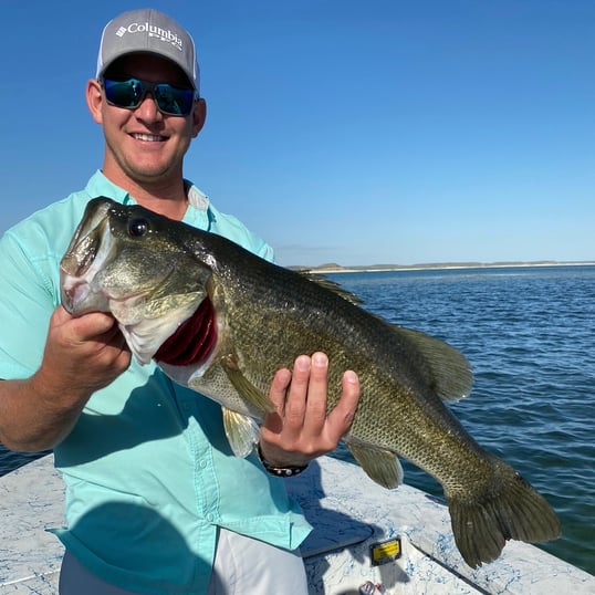 Largemouth Bass Fishing