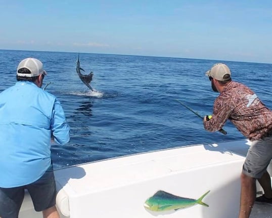 Offshore Fishing Billfish