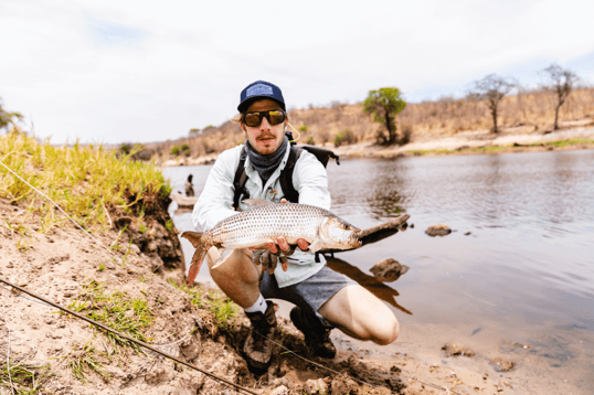 man holding up a tigerfish caught on the fly
