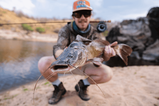 Catfish on fly