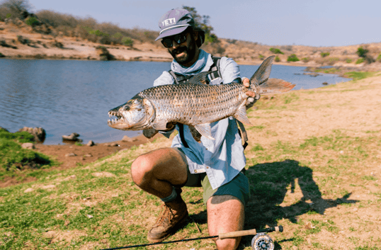 Park Record Tigerfish