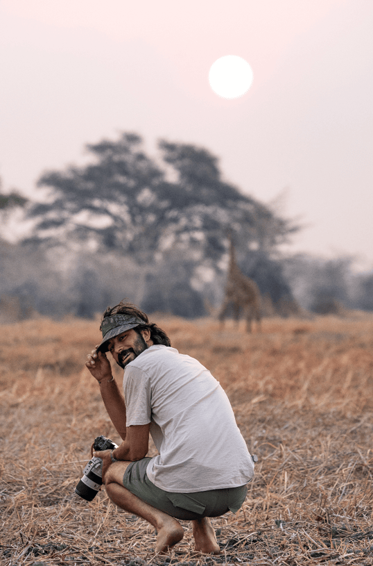 Taking photos of a giraffe