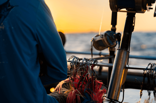 Fishing skirts in the sunset