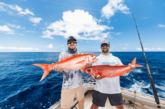 Ruby snapper in tanzania