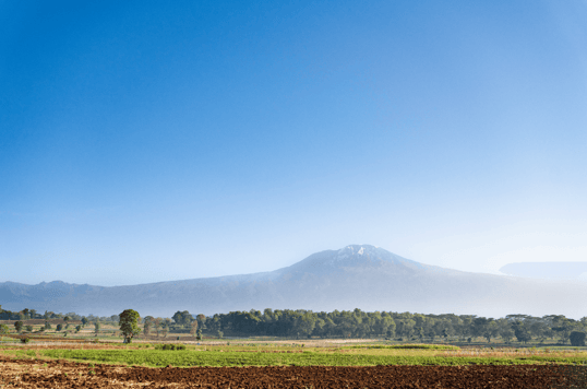 mount kilimanjaro in the distance