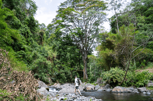 Hiking on a stream near kilimanjaro