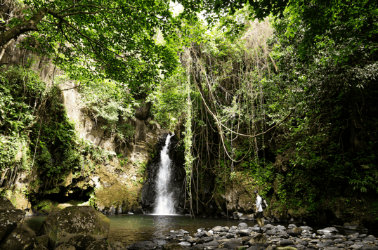 Fishing a hidden waterfall on mount kilimanjaro