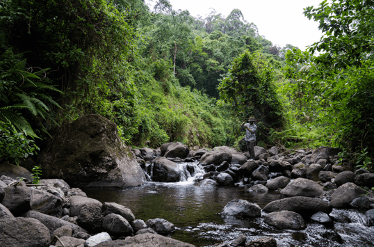Casting for rainbow trout on kilimanjaro