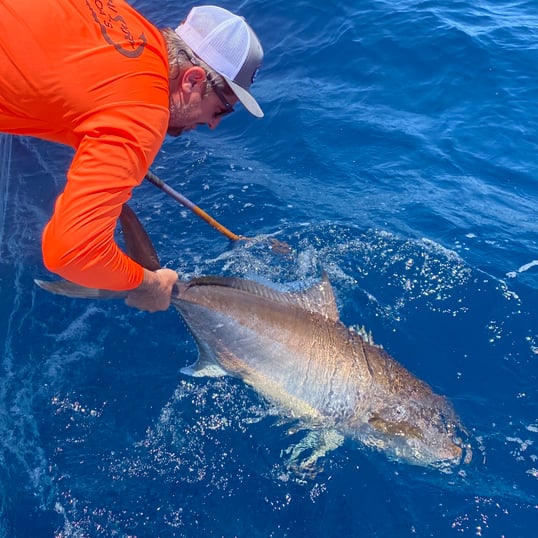 Catch and Release Fishing