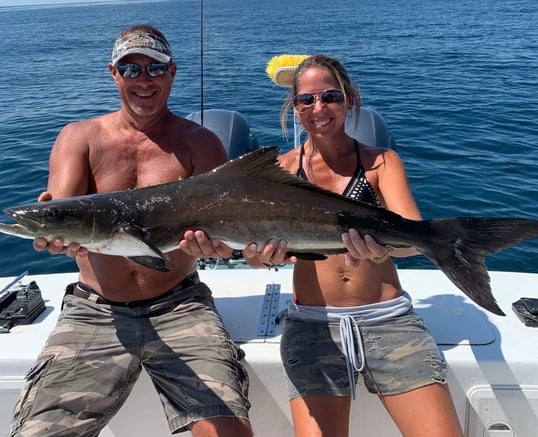 Cobia Fishing