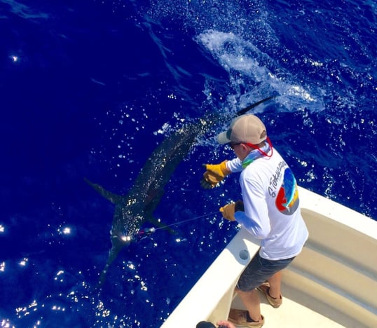 Deep Sea Fishing Charters