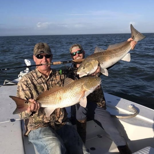 Huge Redfish