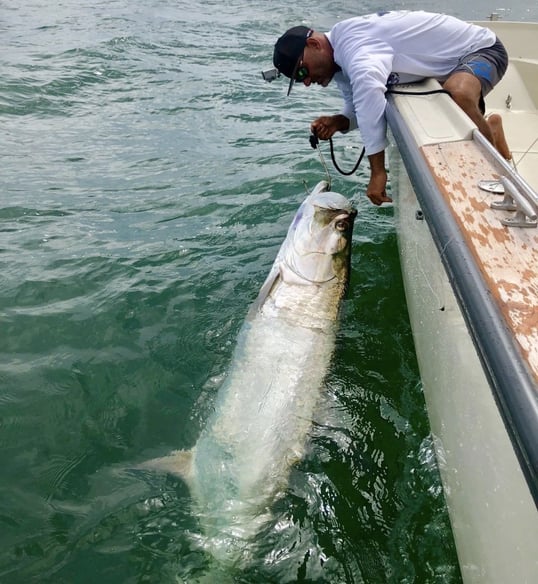 Texas Tarpon Trips