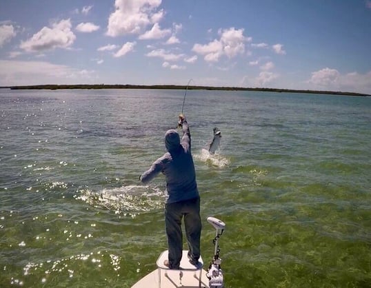 Florida Tarpon Fishing Trips