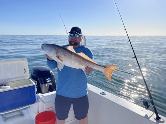 Conventional Fishing Gear