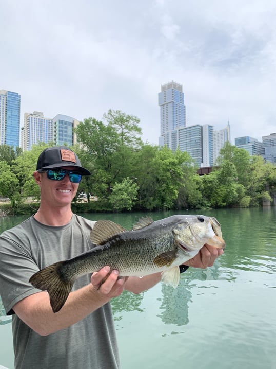 Carson's bridge bass 2