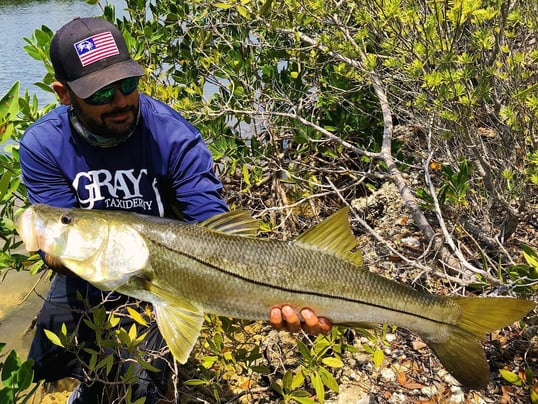 Islamorada fishing charters