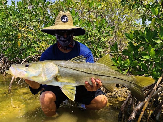 islamorada fishing charter
