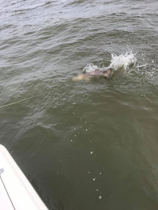 louisiana fishing charter