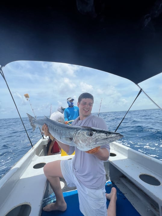 Giant barracuda in tulum mexico