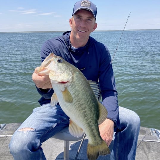 Falcon Lake Bass Fishing