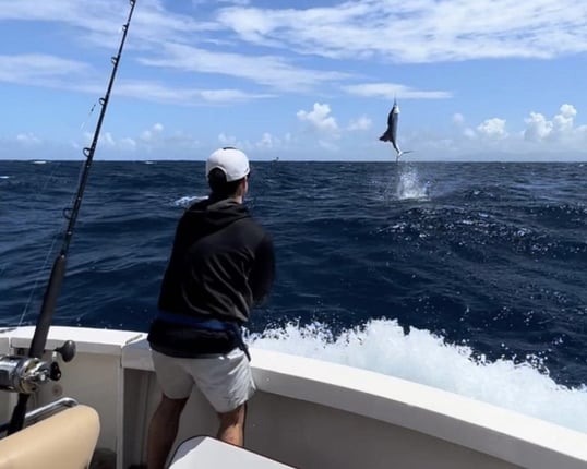 Sailfish Jumping Offshore Fishing