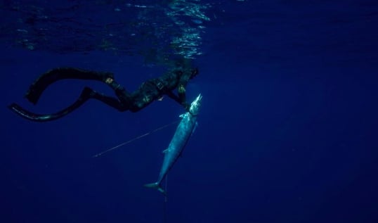 captain tony islamorada
