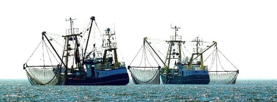 commercial fishing