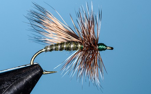 dry fly
