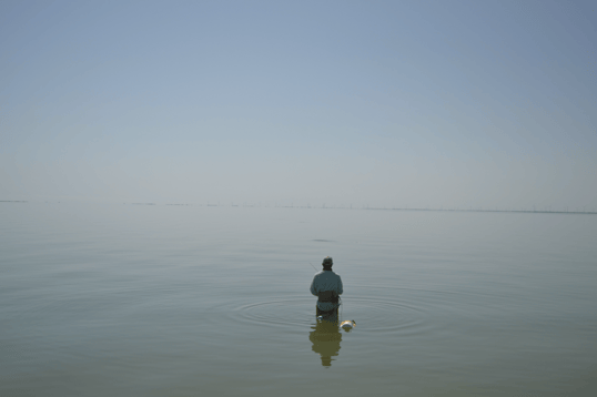 Man wading in water fishing for trout