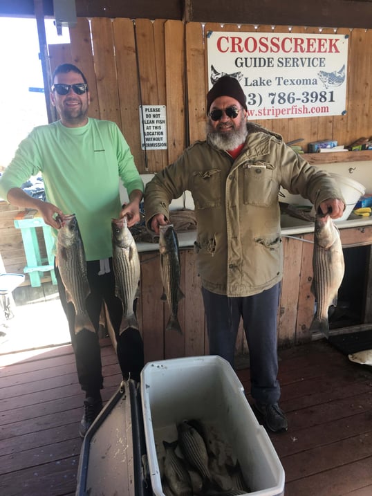 dauntless fishing lake texoma