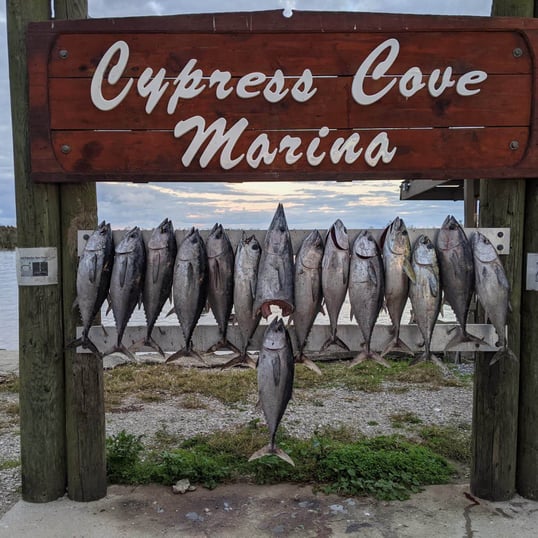dauntless fishing venice